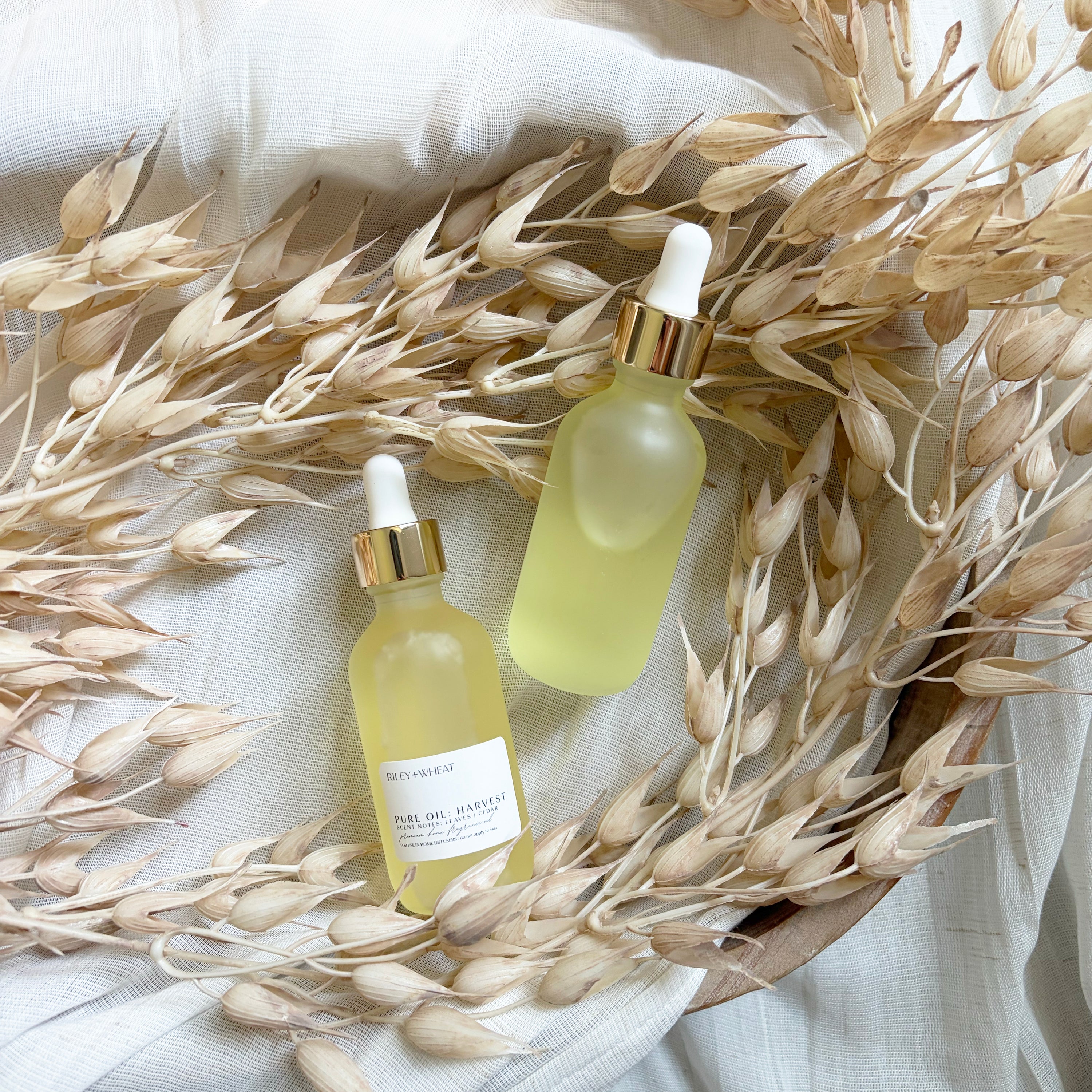 Fall Collection Concentrated Diffuser Oils